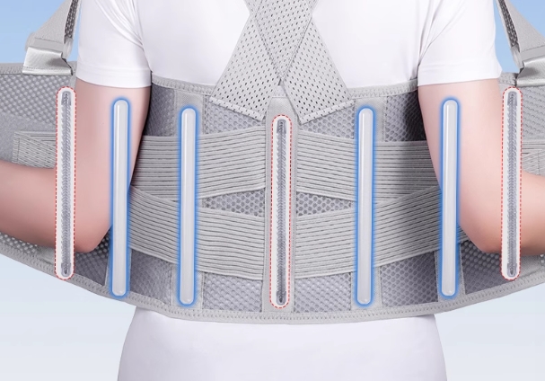 肋骨帶3.png 肋骨帶3.png