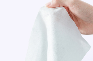 濕廁紙1.png 濕廁紙1.png